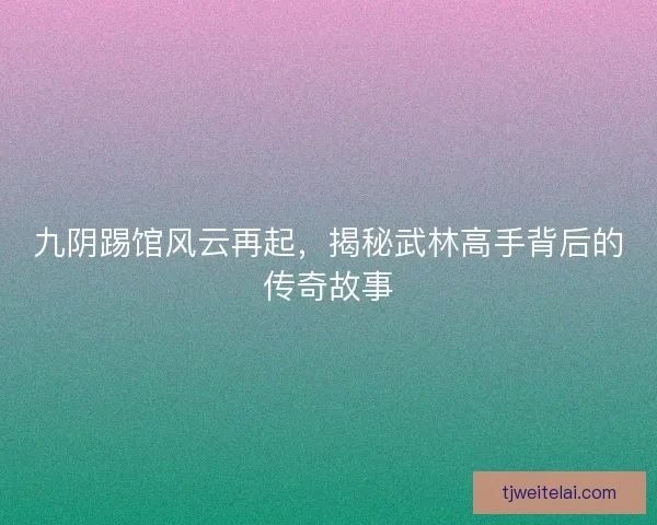 九阴踢馆风云再起，揭秘武林高手背后的传奇故事
