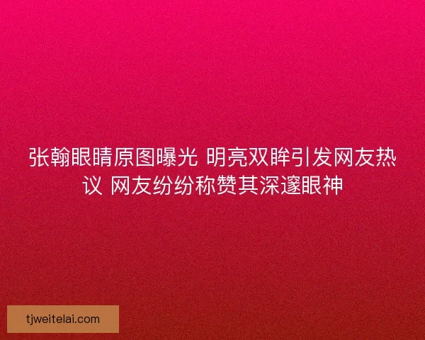 张翰眼睛原图曝光 明亮双眸引发网友热议 网友纷纷称赞其深邃眼神