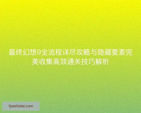 最终幻想9全流程详尽攻略与隐藏要素完美收集高效通关技巧解析