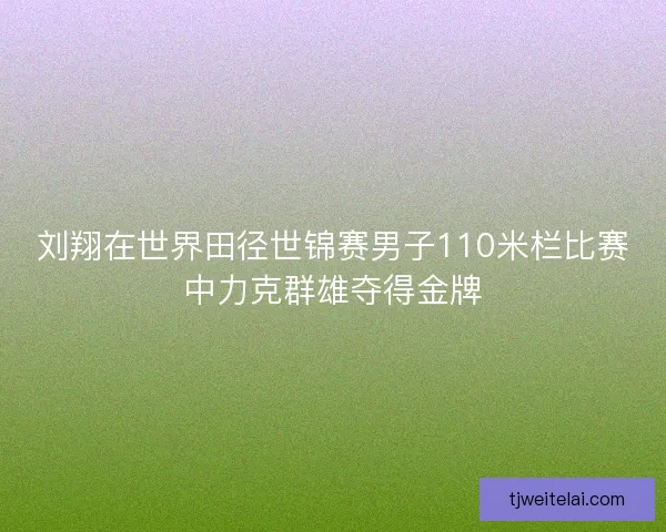 刘翔在世界田径世锦赛男子110米栏比赛中力克群雄夺得金牌 刘翔在世界田径世锦赛男子110米栏比赛中力克群雄夺得金牌
