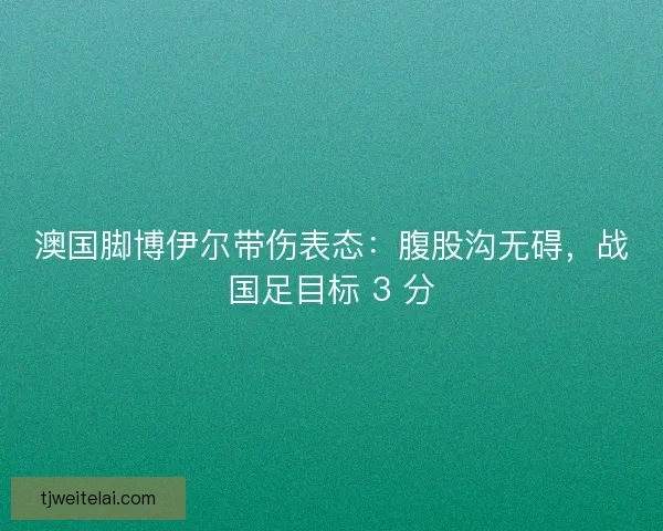 澳国脚博伊尔带伤表态：腹股沟无碍，战国足目标 3 分