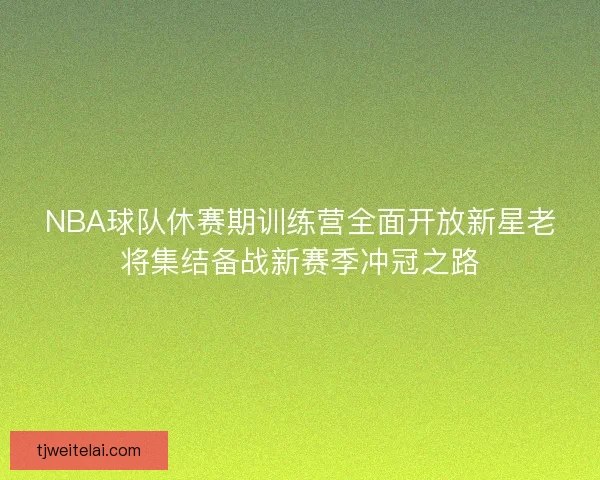 NBA球队休赛期训练营全面开放新星老将集结备战新赛季冲冠之路
